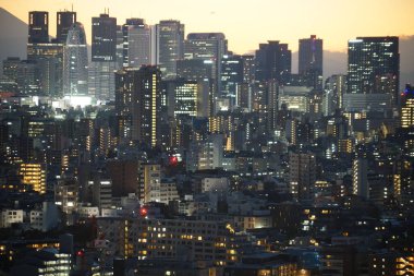 Bunkyo Şehir Merkezi 'nden gün batımı (Shinjuku)