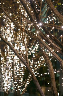 Güzel Noel aydınlatmaları görüntüsü