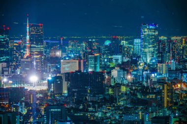 Tokyo Metropolitan Hükümet Binası 'nın gözlem güvertesinden Tokyo gece görüşü