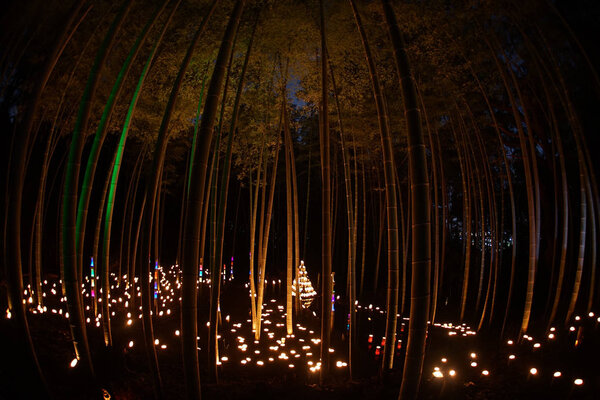 Малый диаметр освещения бамбуковой рощи (небольшой письменный стол Замковый лес гражданина
)