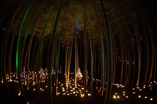 Iluminação Pequeno Diâmetro Bosque Bambu Pequena Escrivaninha Castelo Floresta Cidadão — Fotografia de Stock