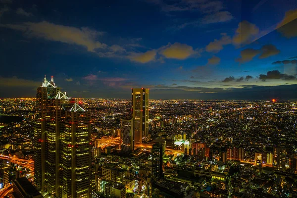 Vista Nocturna Tokio Vista Desde Plataforma Observación Del Edificio Del —  Fotos de Stock