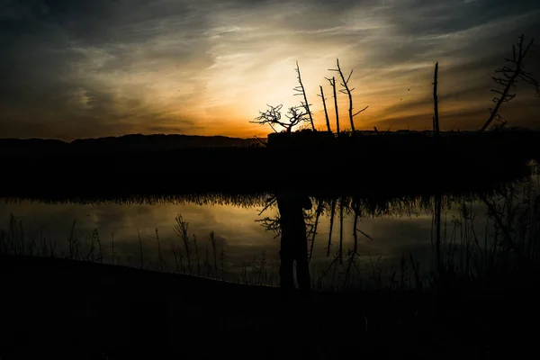 Bäume Spiegeln Sich Abend Und Die Wasseroberfläche — Stockfoto