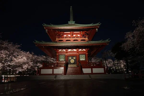 Tempel Gaan Kersenbloesems Zien Nachts — Stockfoto