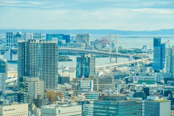 Paesaggio Urbano Tokyo Visto Dall Osservatorio Della Torre Tokyo — Foto Stock