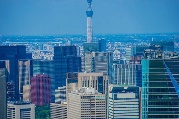 Tokyo Gökyüzü Ağacı Şehir Manzarası — Stok fotoğraf