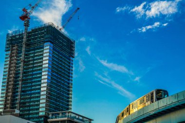 Apartman dairesi ve inşaatta siyah başlı martılar