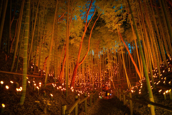 Малый диаметр освещения бамбуковой рощи (небольшой письменный стол Замковый лес гражданина
)