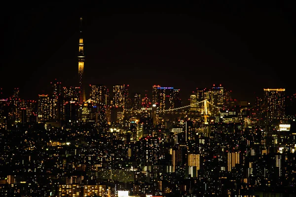 从横滨地标塔看到的天空树和彩虹桥 — 图库照片