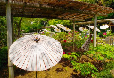 peyzaj arka planı, seçici odak