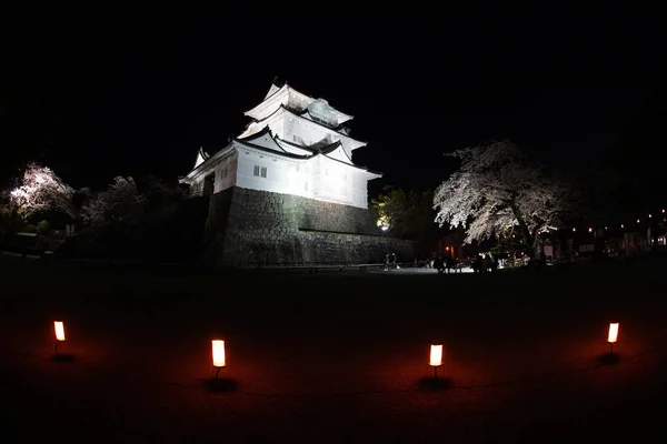 Odawara Kasteel Kersenbloesems — Stockfoto