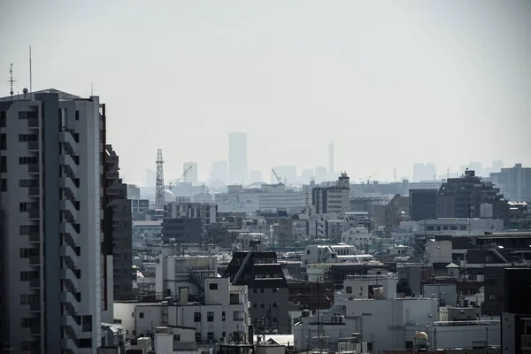 Yokohama Şehri Ikegami Honmonji Den Görülebiliyor — Stok fotoğraf