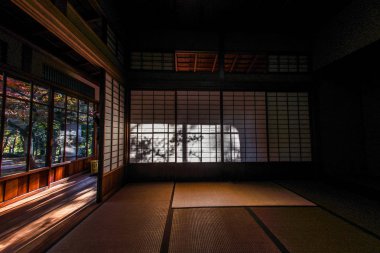 Japon ev görüntü