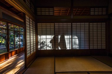 Japon ev görüntü