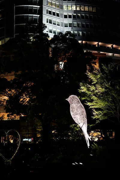 Roppongi Streets Birds Objects — Stockfoto