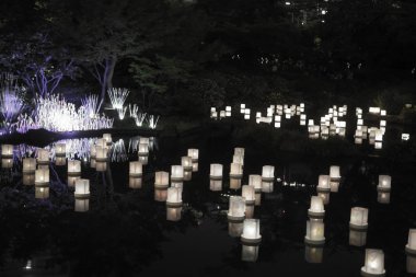 Toronagashi 'nin seçici odak resmi