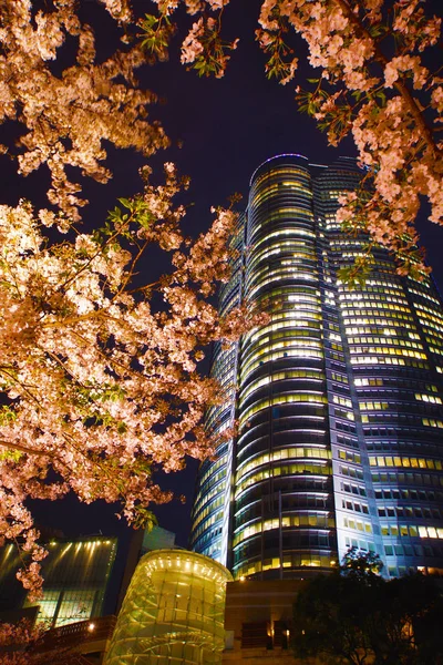 Night Yokohama Port — Stock Photo, Image