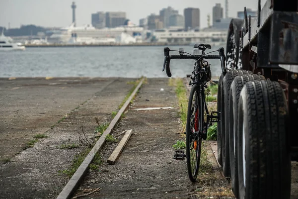 Vélos Route Plage — Photo