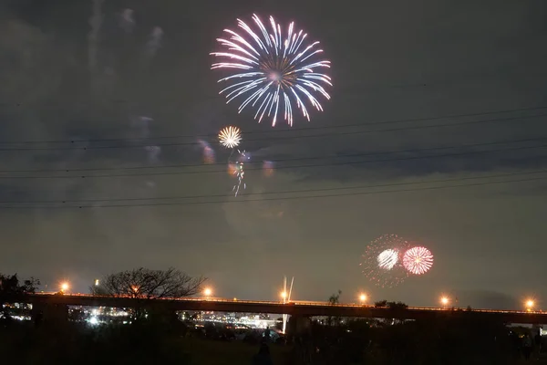 Tama River fireworks display of fireworks (2018)