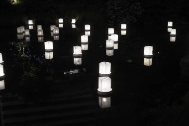 Toronagashi 'nin seçici odak resmi