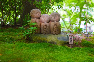 Jizo resim seçici odak