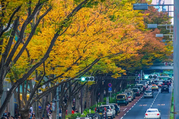 風景背景選択的焦点 — ストック写真