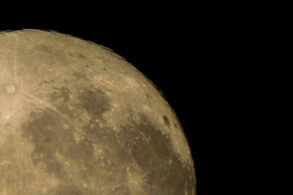 ландшафтный фон, избирательная направленность
