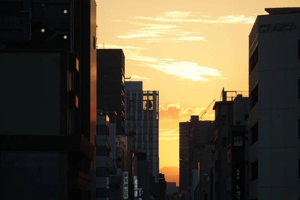 Evening Building Silhouette — ストック写真