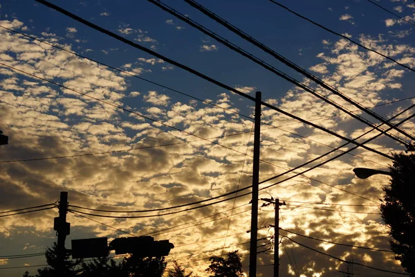 Fio Pôr Sol — Fotografia de Stock