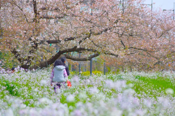 Woman Walk Flower Garden Spring — Stock Photo, Image