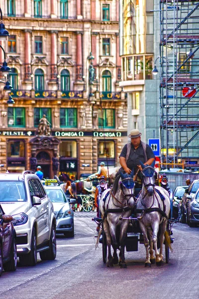 Österrike Wien Coach Selektivt Fokus — Stockfoto