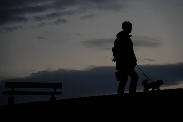 Menschliche Silhouette Zum Hund Für Einen Spaziergang Abend Des Hügels — Stockfoto