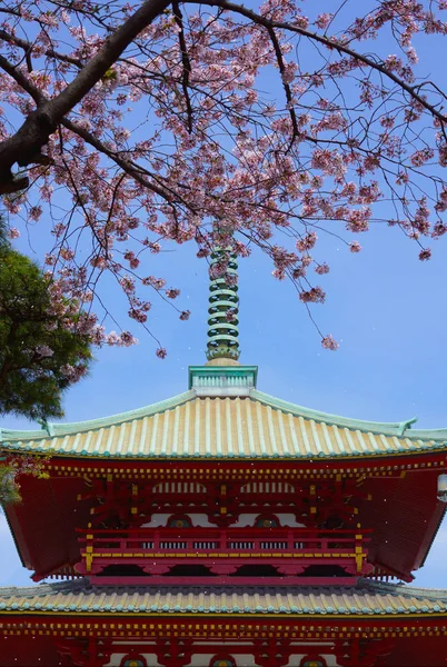 Spring Takamichi Berg Yokohama Stad Kanagawa Prefektur — Stockfoto