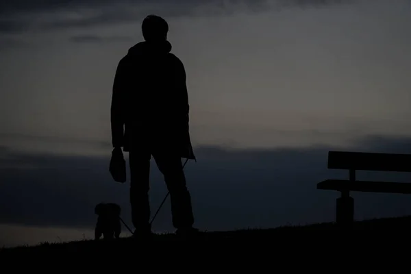 Menschliche Silhouette Zum Hund Für Einen Spaziergang Abend Des Hügels — Stockfoto