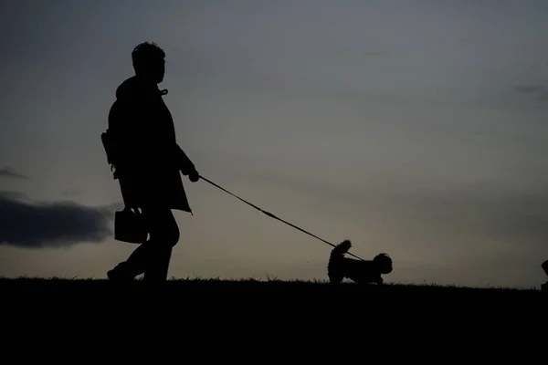 Human silhouette to the dog for a walk in the evening of the hill