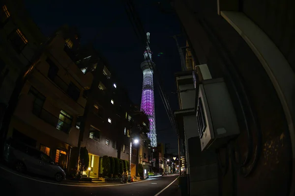 Tokyo Stadtbild Und Tokyo Himmelsbaum — Stockfoto