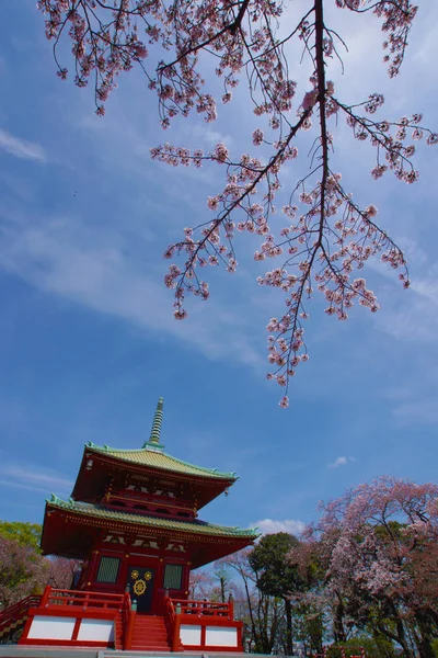 Spring Takamichi Berg Yokohama Stad Kanagawa Prefektur — Stockfoto