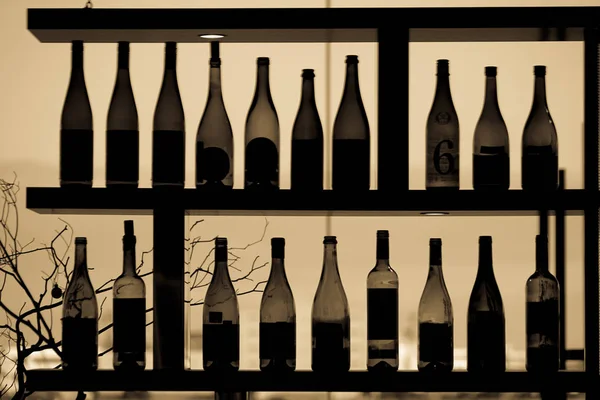 Beaucoup Silhouette Bouteille Vin — Photo