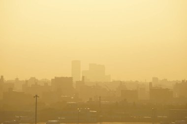 Tokyo şehir silueti ve gün batımı