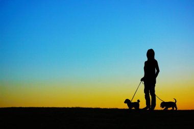Tepede akşam yürüyüşe çıkan köpekleri olan insanlar.