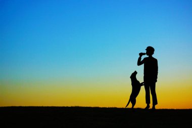 Tepede akşam yürüyüşe çıkan köpekleri olan insanlar.