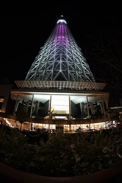 Tokyo Himmelsbaum Schaut Von Unten Nach Oben — Stockfoto