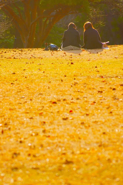 Осеннем Парке Сумерки Двух Человек — стоковое фото