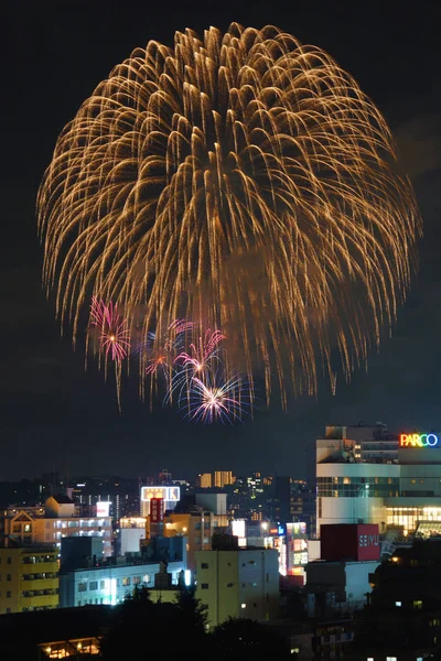 Selektivní Zaměření Obrázku Fireworks — Stock fotografie