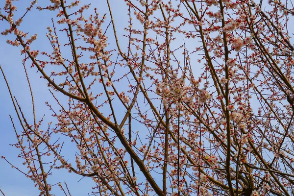 peyzaj arka planı, seçici odak