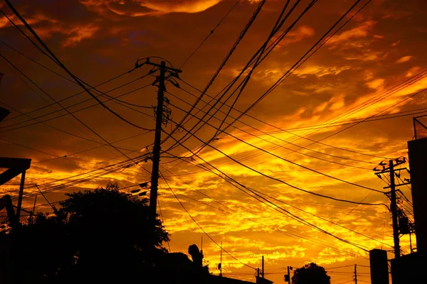 Beautiful Sunset Selective Focus — Stock Photo, Image