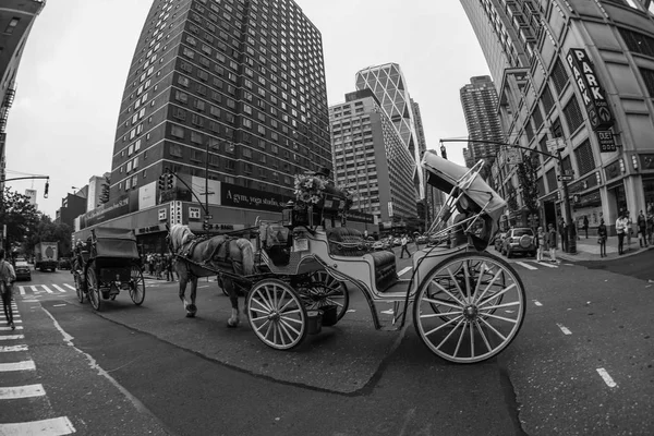 New York Lower Manhattan Skyline Horse Drawn Carriages — Stock Photo, Image