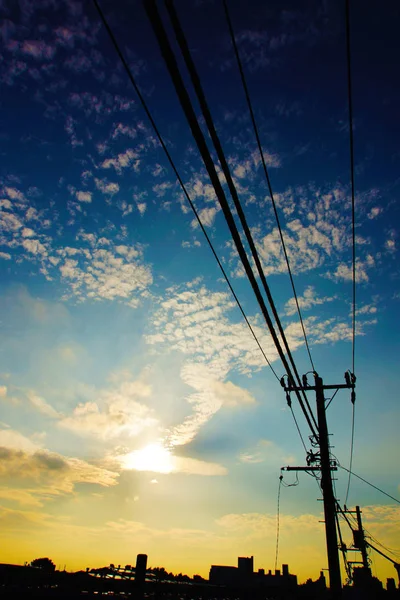 Evening Electric Wire Silhouette — Stock Photo, Image