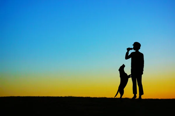 People Who Have Dog Walk Evening Hill — Stock Photo, Image