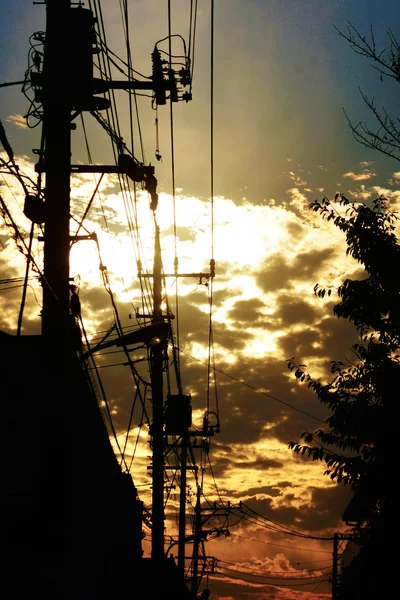 美しい夕日選択的焦点 — ストック写真